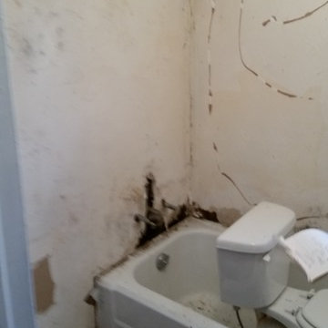 Bathroom & Kitchen Remodel