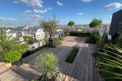 Cette image montre une terrasse arrière minimaliste avec aucune couverture.