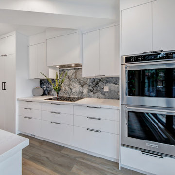 Toronto Main Floor Renovation