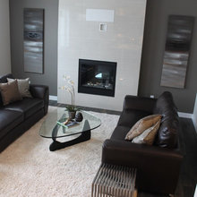 Basement reno