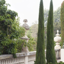 12 garden