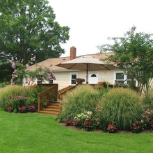 Backyard Oasis