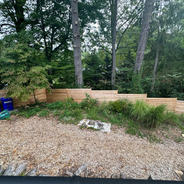 Conservation and rain gardens landscape