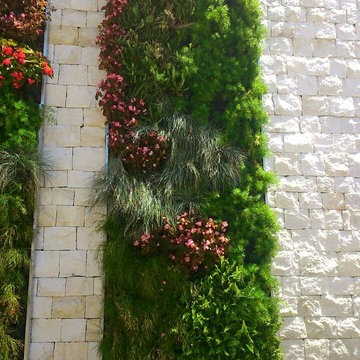 Jardín vertical