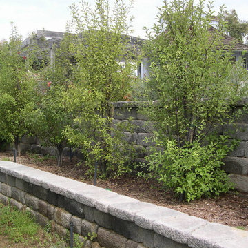 Dual retaining walls are planted with tall Pittosporums as a privacy screen.
