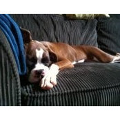Jennifer Selden's photo