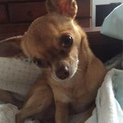 Kimberley Trigger's photo