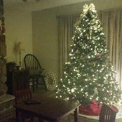 Kelsey Aareskjold's photo