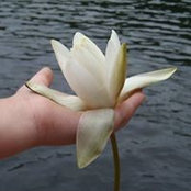 Evie Wentink's photo