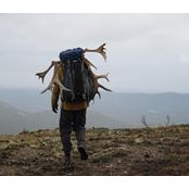 Nathan Moes's photo