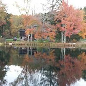 Peggy Chiappa's photo