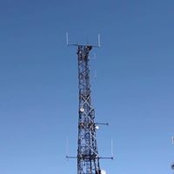 Iain Cox's photo