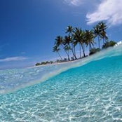 Foto von Dwight Patterson