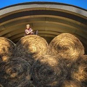 Lauren Ferrante's photo