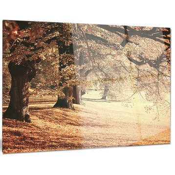 "Dreamy Imagery of Autumn Forest" Metal Wall Art, 28"x12"