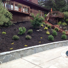 Landscape Ideas