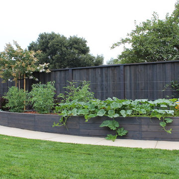 Veggie Beds