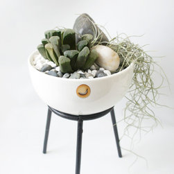Terrarium in shapes - Products