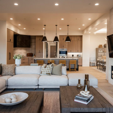 Contemporary Living Room