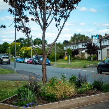 Thornbury: Front Garden Renovation