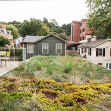Living Roof