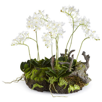 Artificial Mini Dendrobium Rustic Drop-In Plant