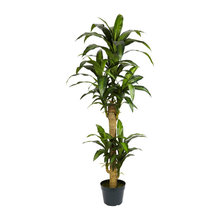 Fake plants