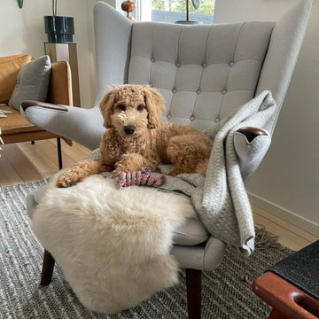 Get an iconic living room design with the Papa Bear Chair