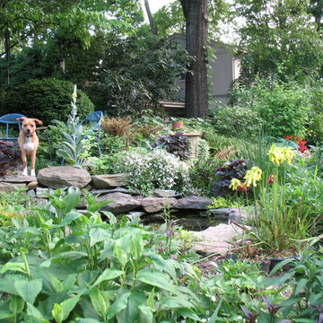 Wild life/pollinator's garden