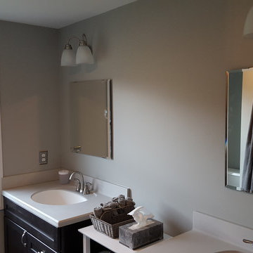 Ann Arbor Dual Vanity Guest Bath