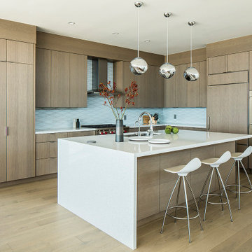 Maximized Views · Modern · New Home