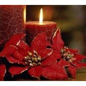 Monica Dumanovsky's photo