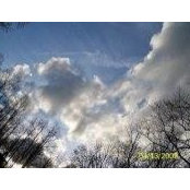 Susie McCloskey's photo