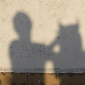 Grégori Faroux's photo