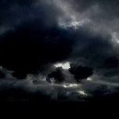 Damon Moritz's photo