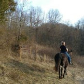 Foto von Lizzie Potter
