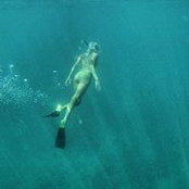 Sara Schwartz's photo