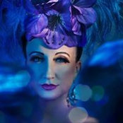 Aphrodites Rose's photo