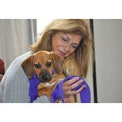 Luanne Perrera's photo