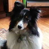 Kathy Orban's photo