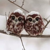 Hanadi Kas's photo