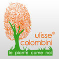Foto di profilo di Società Agricola Colombini Ulisse srl