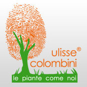 Società Agricola Colombini Ulisse srls foto