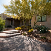 Desert Landscape