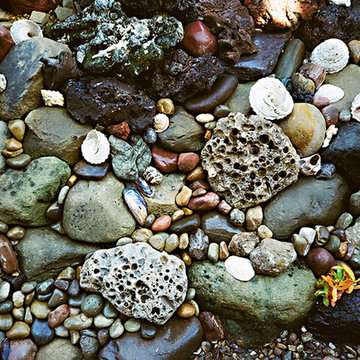 Rock Garden