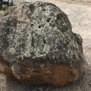 Sonoma Fieldstone (AKA Moss Rock)