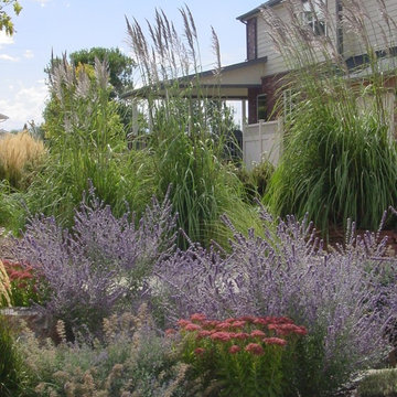 Plant Combinations