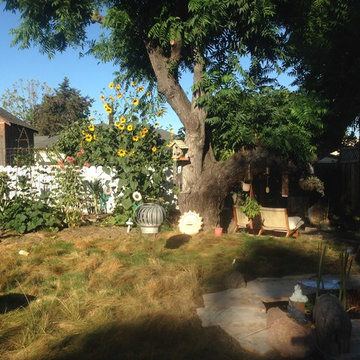 This past spring/summer I experimented with watering every 14 days. At the heat