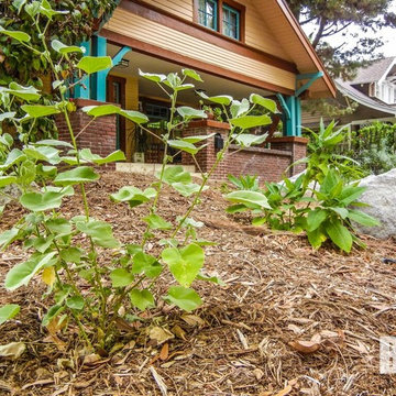 N Olive Ave Residence (Alhambra)