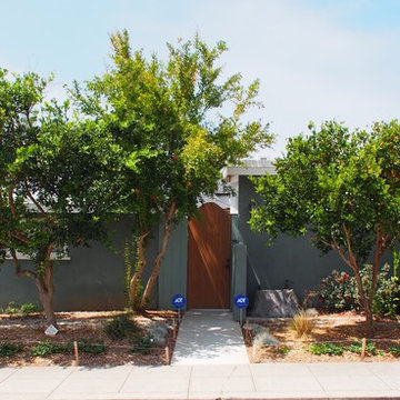 Drought Tolerant La Jolla Landscape
